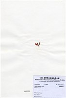 藏品(長柄雀冠藻)的圖片